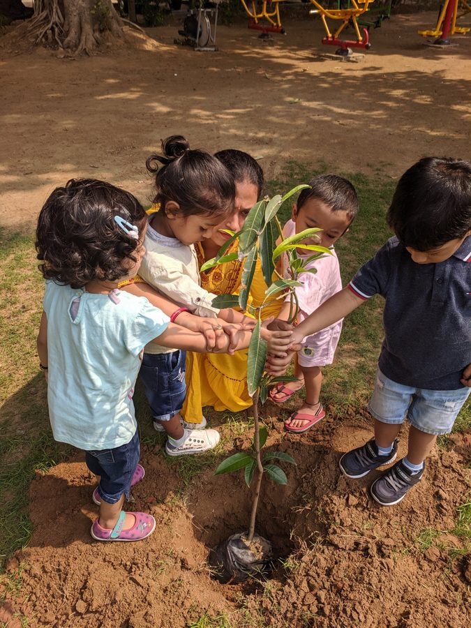 Tree planting activity